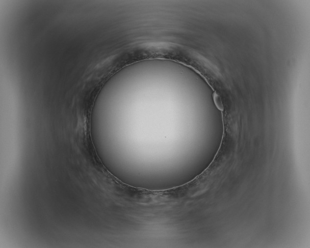 X0000113111061200909041241