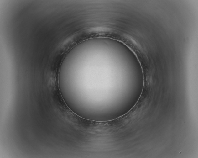 X0000113111062200909041241
