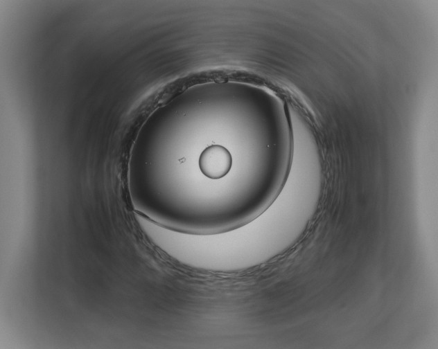 X0000113111064200909041241