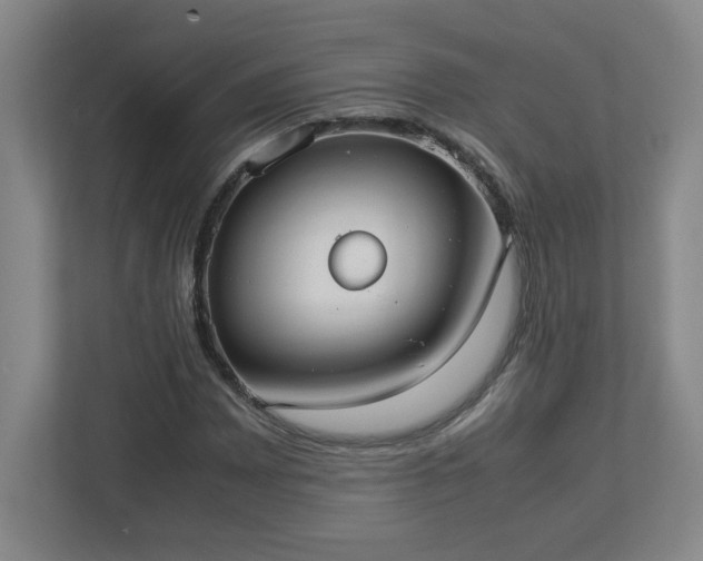 X0000113111065200909041241