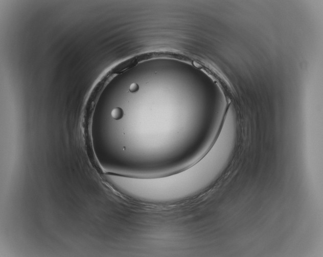 X0000113111068200909041241