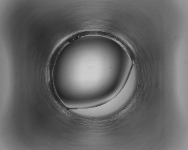 X0000113111069200909041241
