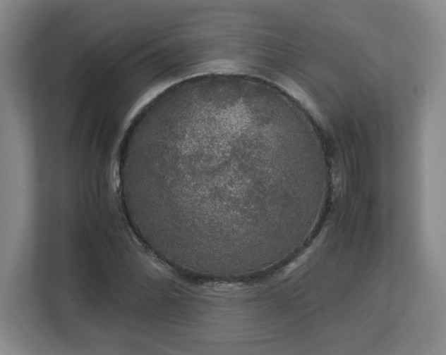 X0000113111070200909041241