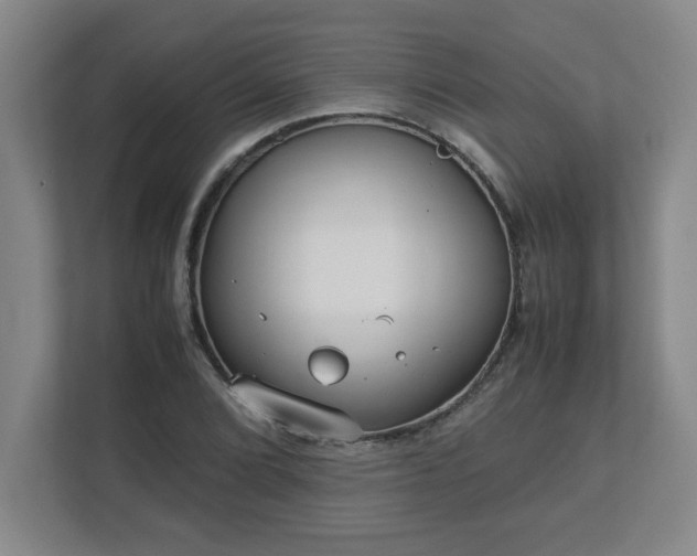 X0000113111072200909041241
