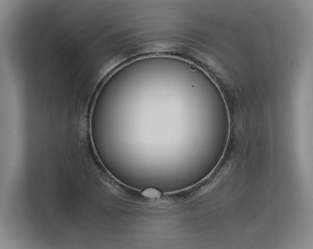 X0000113111073200909041241