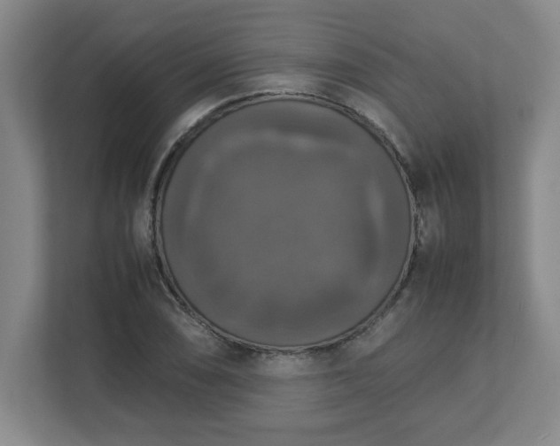 X0000113111074200909041241
