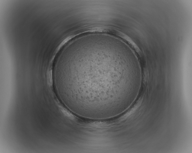 X0000113111075200909041241