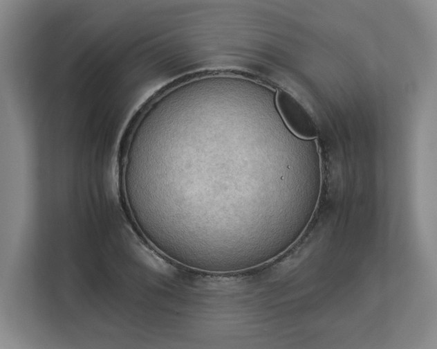 X0000113111076200909041241
