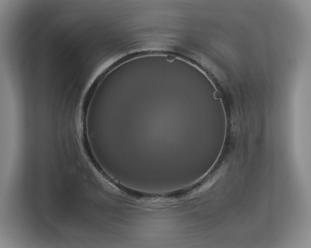 X0000113111077200909041241
