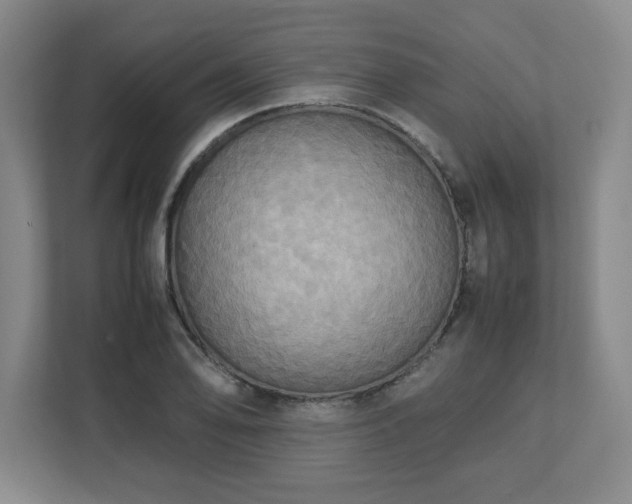X0000113111078200909041241