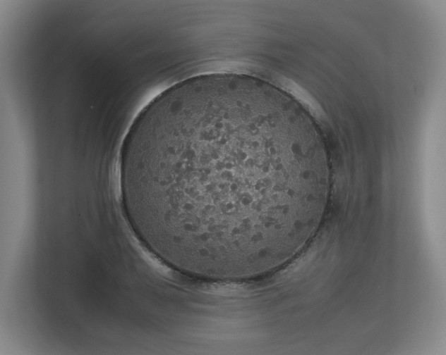 X0000113111079200909041241
