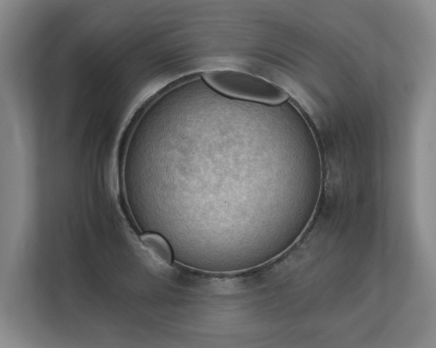 X0000113111080200909041241