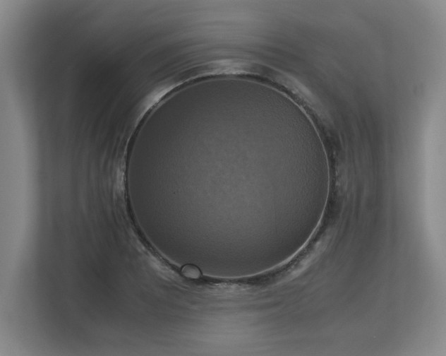 X0000113111081200909041241