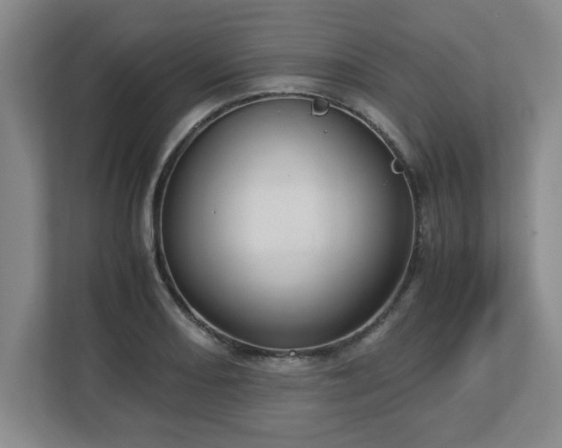 X0000113111082200909041241