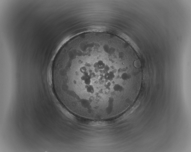 X0000113111083200909041241