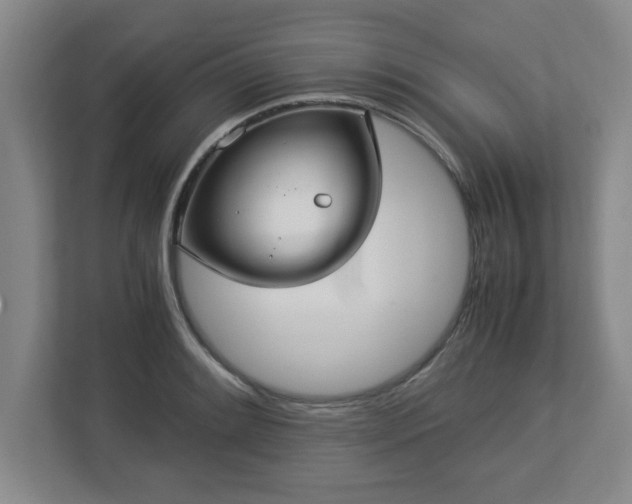 X0000113111084200909041241