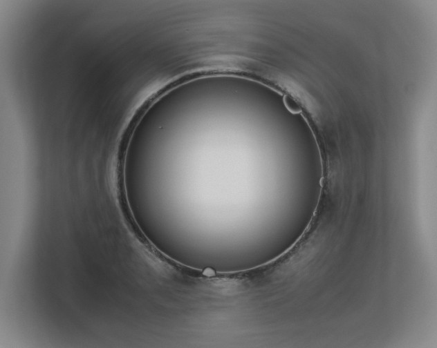 X0000113111085200909041241