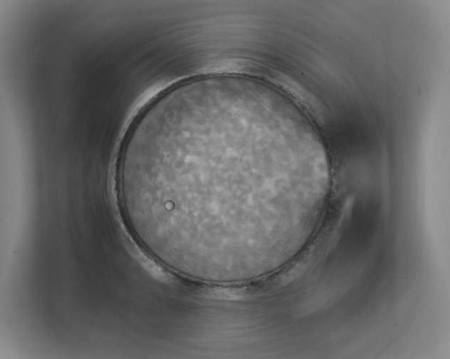 X0000113111086200909041241