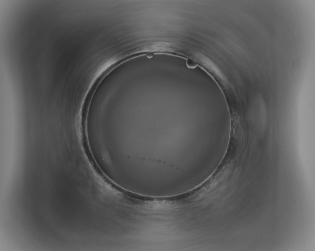 X0000113111087200909041241