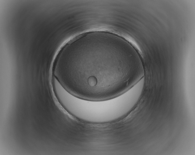 X0000113111088200909041241