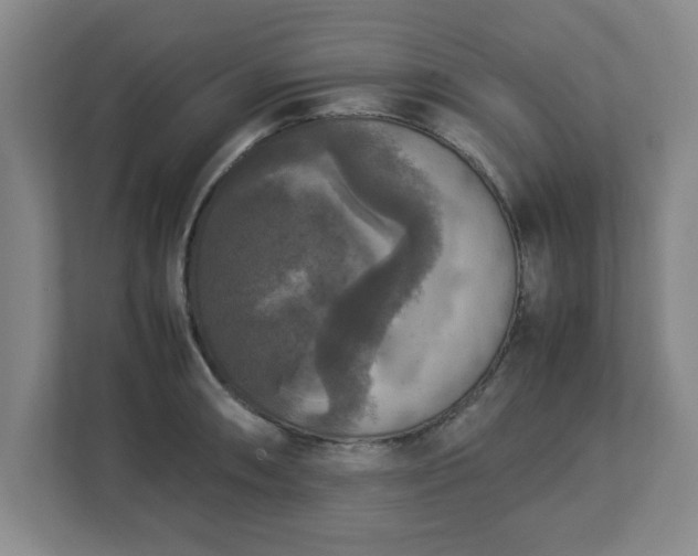X0000113111090200909041241