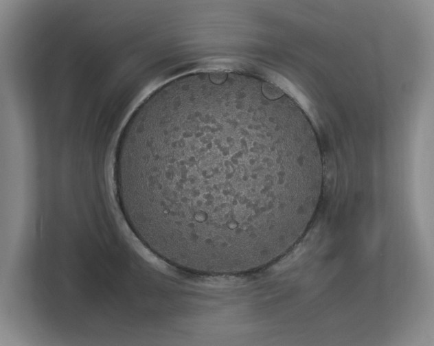 X0000113111091200909041241