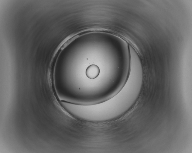 X0000113111092200909041241