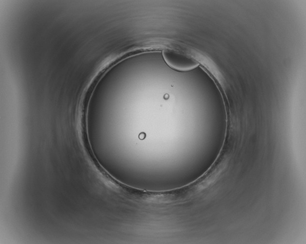 X0000113111093200909041241