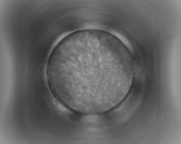 X0000113111094200909041241