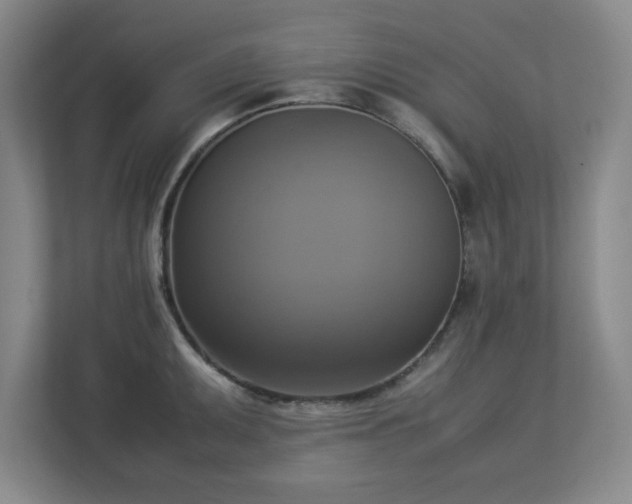 X0000113111095200909041241