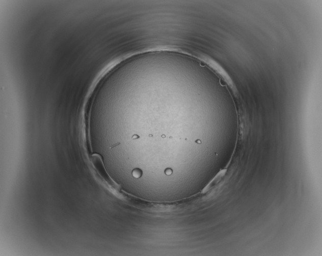 X0000113111096200909041241