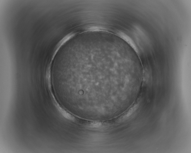X0000113111098200909041241