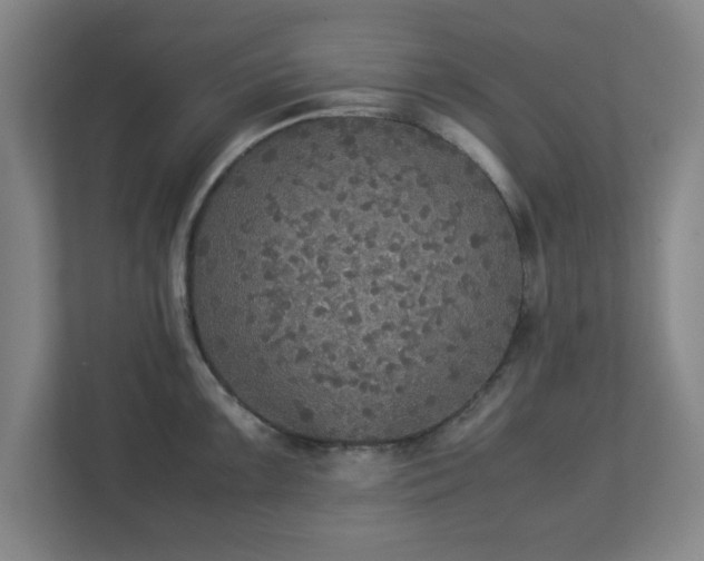 X0000113111099200909041241
