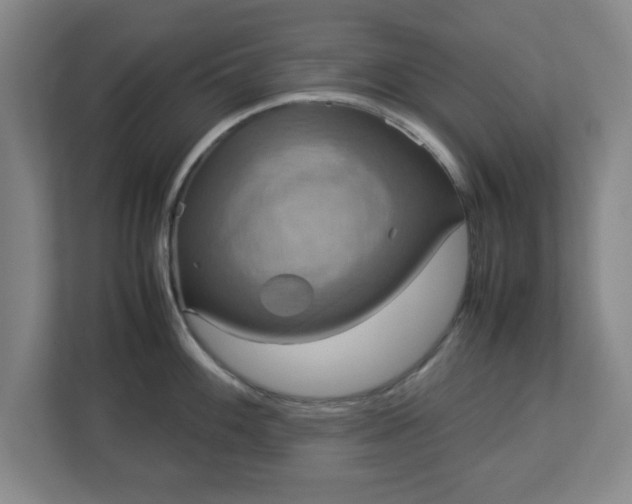 X0000113111100200909041241