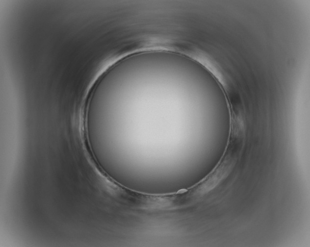 X0000113111101200909041241