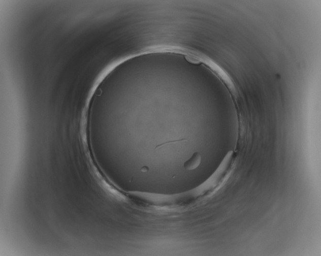 X0000113111102200909041241