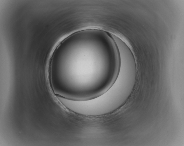 X0000113111104200909041241