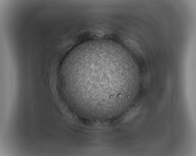 X0000113111105200909041240