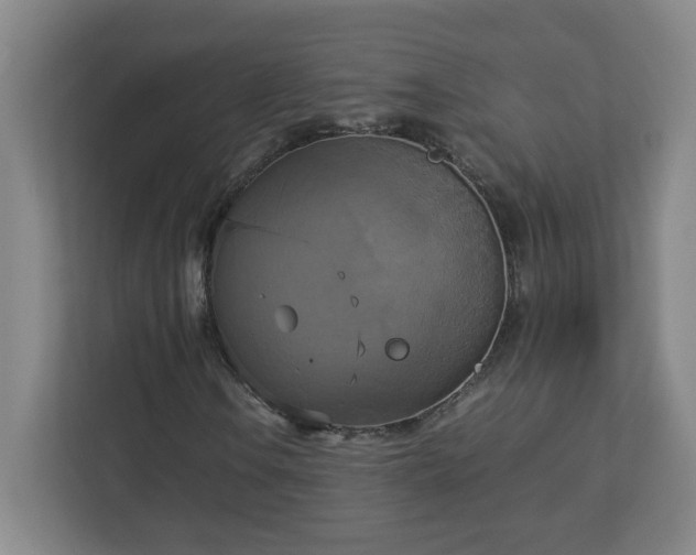 X0000113111106200909041240