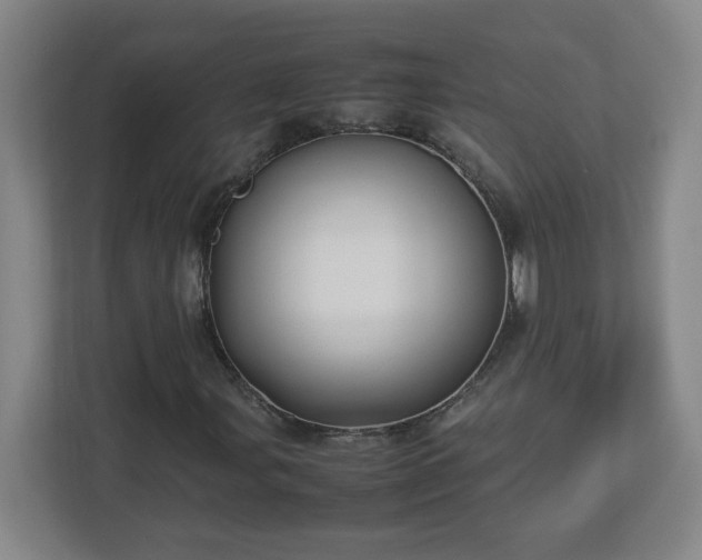 X0000113111107200909041240