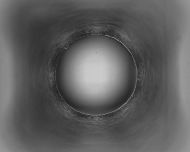 X0000113111109200909041240