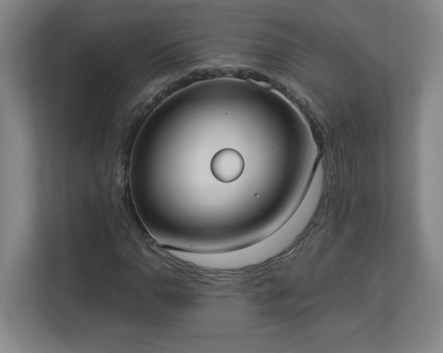 X0000113111110200909041240