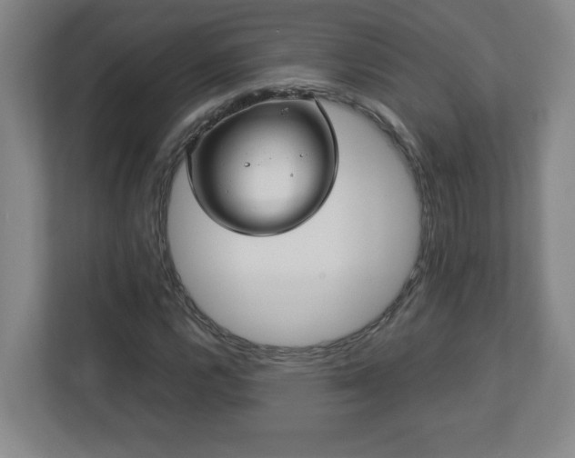 X0000113111112200909041240
