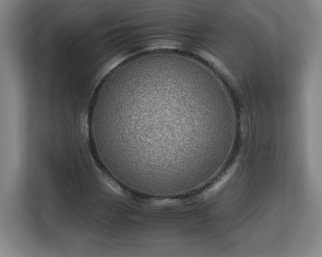 X0000113111113200909041240
