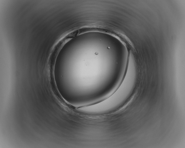 X0000113111114200909041240