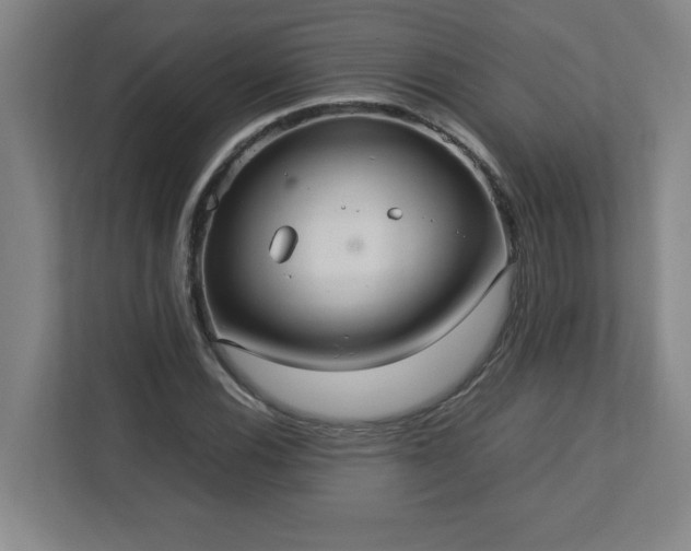 X0000113111116200909041240