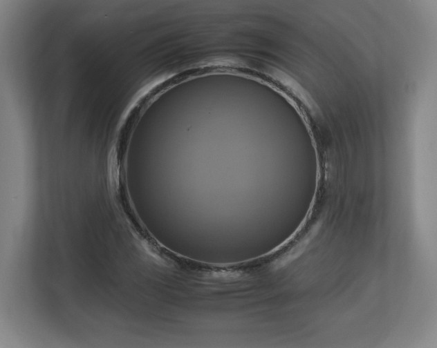 X0000113111117200909041240