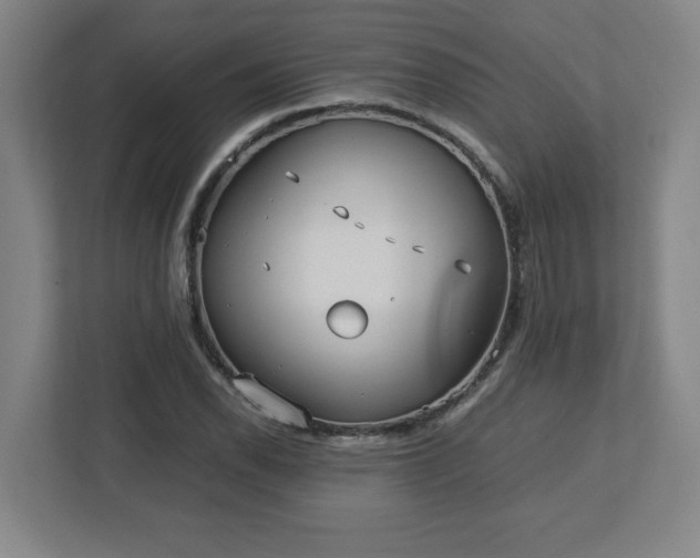 X0000113111118200909041240