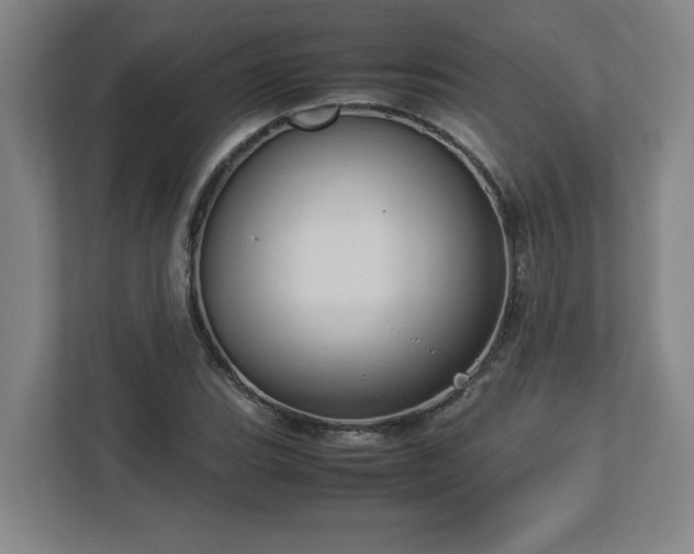 X0000113111119200909041240