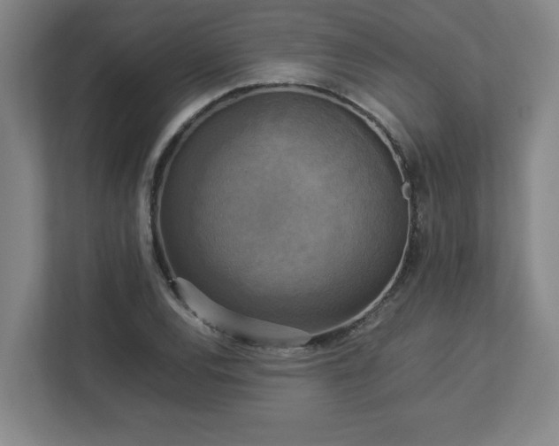 X0000113111120200909041240